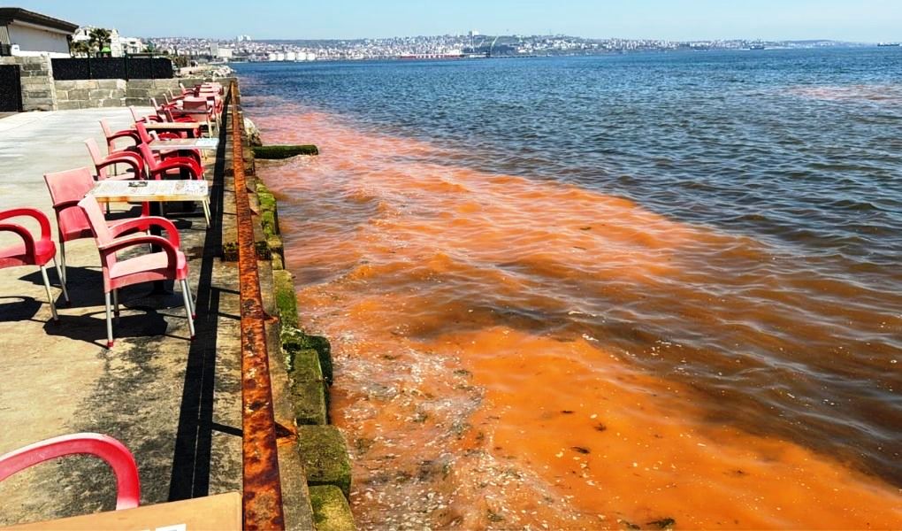 TEKİRDAĞ KIYILARINDAKİ KORKUTAN GÖRÜNTÜYE BİLİMSEL AÇIKLAMA