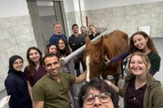 TRAKYA’DA AT SAĞLIĞININ YENİ ÜSSÜ TEKİRDAĞ