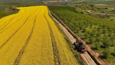 TEKİRDAĞ BÜYÜKŞEHİR BELEDİYESİ TARLA YOLLARINI HASADA HAZIRLIYOR