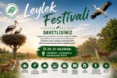 HAYRABOLU’DA LEYLEK FESTİVALİ HEYECANI