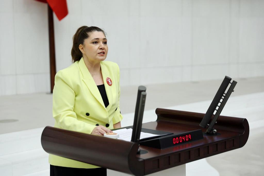İYİ PARTİLİ SELCAN TAŞÇI’DAN BASIN İLAN KURUMU DÜZENLEMESİNE SERT TEPKİ: “BASIN BİATA ZORLANIYOR”
