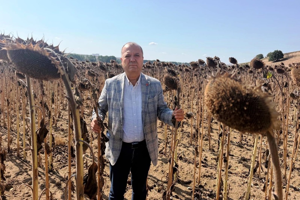 İLHAMİ ÖZCAN AYGUN: “TÜRK ÇİFTÇİSİ İTHALAT LOBİSİNE YEM EDİLDİ”