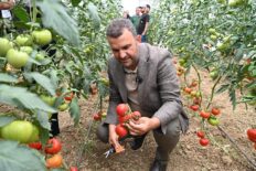 TOPRAKTAN İHTİYAÇ SAHİPLERİNİN SOFRASINA UZANAN BELEDİYE ELİ