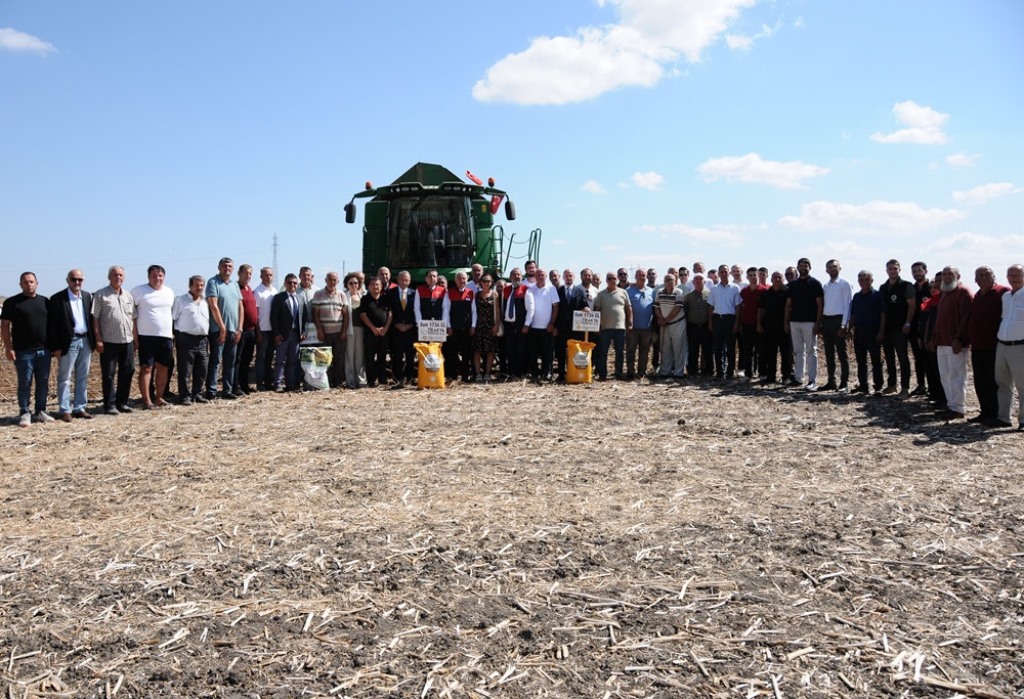 YERLİ VE MİLLİ AYÇİÇEĞİ LÜLEBURGAZ’DA HASAT EDİLDİ